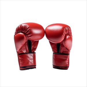 Boxeo
